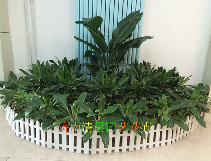 小花坛租摆案列